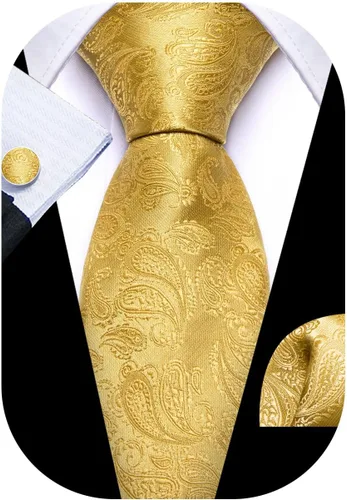 Miniatura 79 de Barry.Wang - Juego de corbata de seda para hombre, diseño de cachemira, pañuelo y gemelos de bolsillo