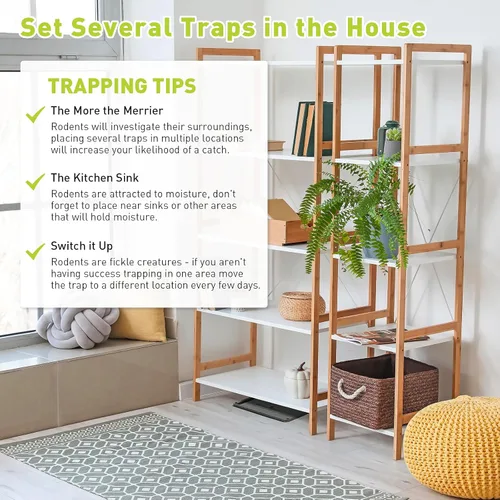 Miniatura 6 de Pelrayt Trampas de pegamento para ratones de interior para el hogar, trampa para ratas, paquete de 12, trampas de pegamento grandes y resistentes