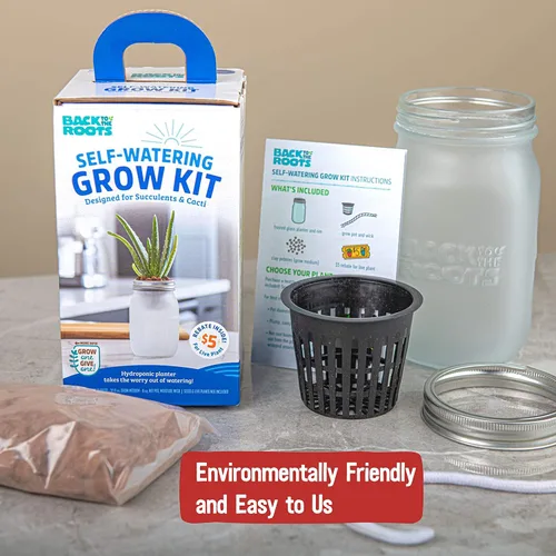 Miniatura 6 de Back to the Roots Kit de cultivo de riego automático, macetas hidropónicas de vidrio para suculentas y sistema de riego automático de cactus