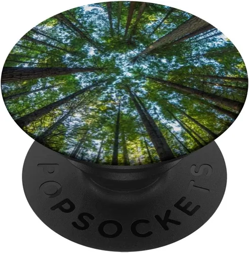 Nature Giant Redwood Trees PopSockets - Agarre y soporte para teléfonos y tabletas, Negro