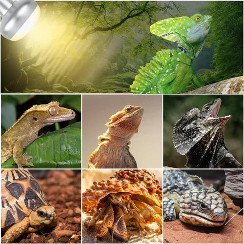 Miniatura 3 de Paquete combinado de lámpara de calor para reptiles, lámpara de reptil doble con lámpara de calor de reptiles UVA de 100 W y reptiles infrarrojos