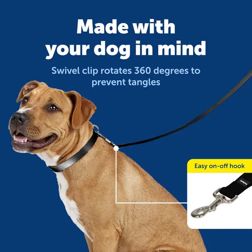 Miniatura 3 de PetSafe Correa de nailon para perro fuerte, duradera, estilo tradicional con broche de perno fácil de usar para perros pequeños, medianos y grandes