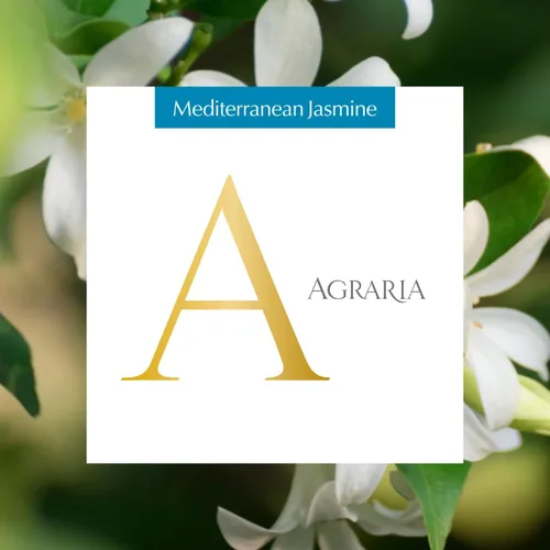 Miniatura 2 de Aera Agraria Mediterranean Jasmine Home - Recambio de fragancia para el hogar, notas de jazmín, madreselva y tuberosa, funciona con el difusor Aera
