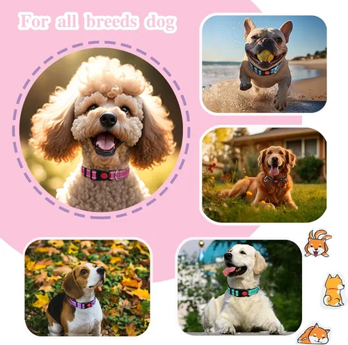 Miniatura 5 de Paquete de 2 collares reflectantes para perros medianos, hembras, machos, collares de nailon para cachorros, perros pequeños y grandes, con hebilla
