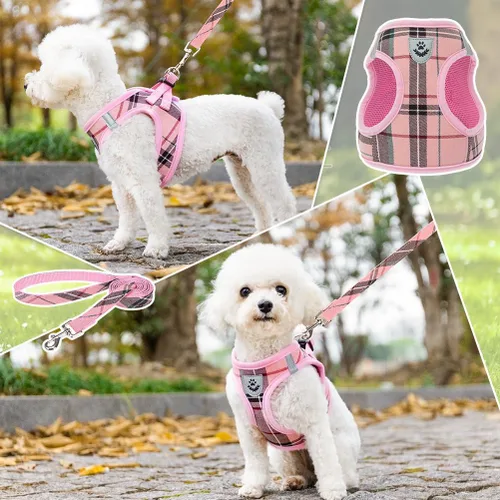 Miniatura 7 de KOOLTAIL Arnés para perro para perros pequeños y medianos, juego de arnés y correa para perro, sin tirones, de malla suave, acolchado, ajustable