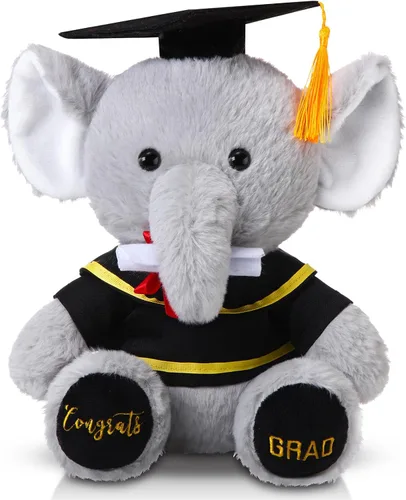 Miniatura 8 de Chalyna Oso de graduación de 10 pulgadas con sombrero, diploma y girasol, regalo de preescolar para niños, estudiantes, amigos y familiares