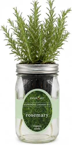 Kit de cultivo hidropónico de hierbas Environet, kit de inicio de jardín de hierbas en tarro de vidrio Mason para interiores, jardín de hierbas para