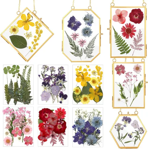 Miniatura 9 de Bucherry Marco de vidrio para bricolaje, arte de flores prensadas, marco de fotos colgante de latón con cadena y 6 estilos de flores prensadas