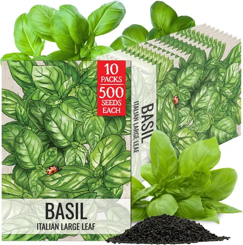 Miniatura 10 de Seed Needs Semillas de albahaca para plantar hierbas de albahaca tailandesa, sin OMG y semillas de hierbas sin tratar para cultivar un jardín
