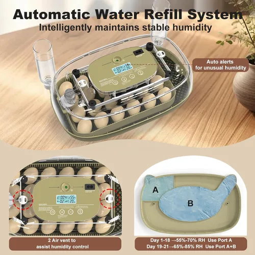Miniatura 5 de Incubadoras para incubar huevos, incubadora inteligente de 24 huevos con giro automático de huevos y control de humedad, incubadora de alta tasa