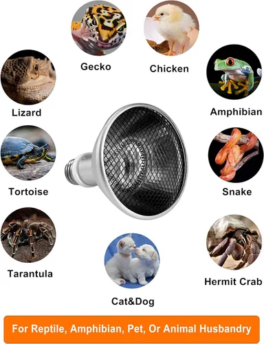 Miniatura 4 de Proyector de calor profundo – DHP 160 W infrarrojo reptil lámpara de calor bombillas para tortuga luz dragón barbudo pollo lagarto leopardo Gecko