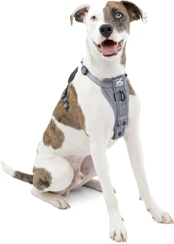 Miniatura 8 de Kurgo Tru-Fit - Arnés inteligente para caminar para perros, ajuste cómodo, arnés ajustable, reflectante para mascotas, liberación rápida