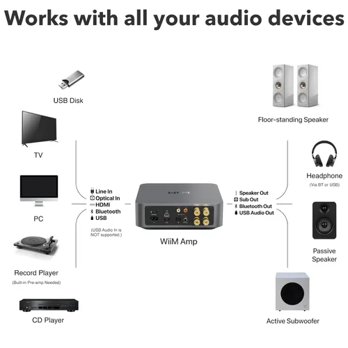 Miniatura 7 de WiiM Amp: Amplificador de Streaming Multisala Compatible con AirPlay, Google Cast, Alexa HDMI, Control de Voz Transmite desde Spotify, Amazon
