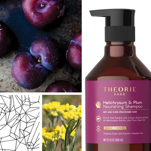 Miniatura 3 de Theorie: Sage - Helichrysum & Plum - Champú nutritivo - Para cabello seco y sobreprocesado - Protege el color y el cabello tratado con queratina