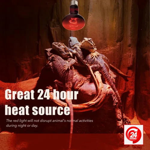 Miniatura 5 de Bombilla roja para reptiles, paquete de 2 focos infrarrojos mejorados de 100 W, luz de calefacción nocturna de reptiles, bombilla de calor rojo