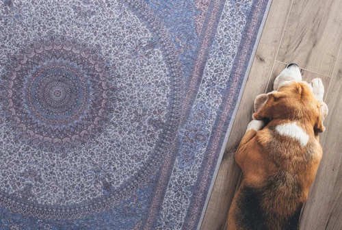 Miniatura 65 de GLN Rugs Traditional Collection - Alfombra de felpilla lavable a máquina, tradicional lavable, antideslizante, alfombra de felpilla de pelo corto