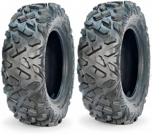 GarveeTech - Juego de 2 neumáticos para ATV UTV todo terreno 24x8-12, 6PR, neumáticos sin cámara para todo terreno resistente para barro y arena,