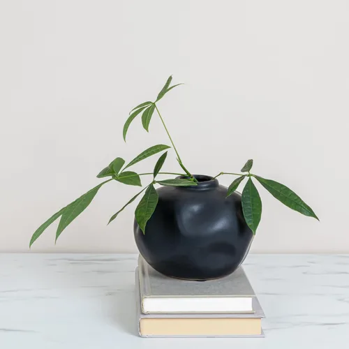 Miniatura 6 de Creative Co-Op Jarrón de terracota con forma orgánica pellizcada, negro mate