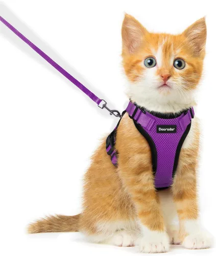 Miniatura 33 de Dooradar Juego de arnés y correa para gato, chaleco ajustable seguro a prueba de escapes, para caminar, chaqueta de malla suave y transpirable