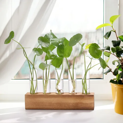 Miniatura 3 de Estaciones de propagación YIBOT, terrario de plantas con soporte de madera, regalos de jardinería de cumpleaños para mujeres, madres amantes