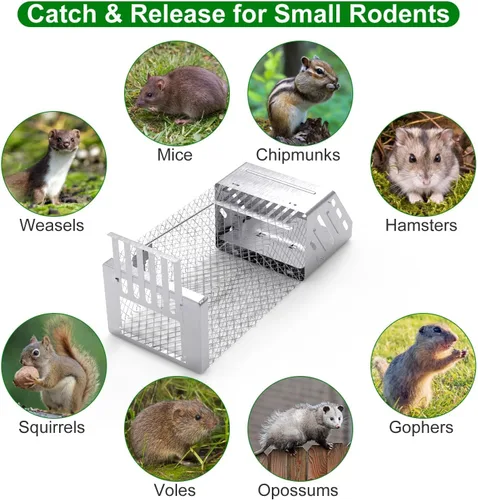 Miniatura 3 de Trampa humana para ratas, jaula automática continua para ratones, jaula de trampa de animales vivos de una sola puerta para interiores y exteriores