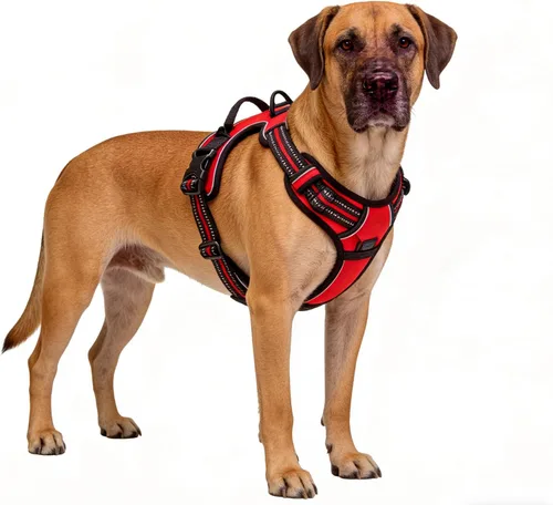 Miniatura 17 de Arnés azul para perro sin tirones con 2 clips para correa, chaleco acolchado suave para perros grandes, chaleco reflectante ajustable para perro
