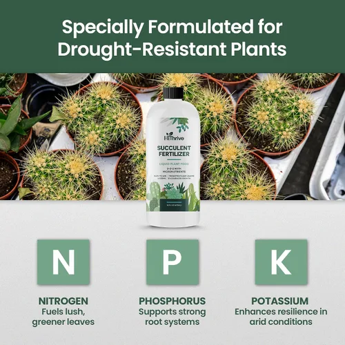 Miniatura 7 de Fertilizante para suculentas de 16 onzas, hace que 32 galones de alimento para plantas suculentas vivas, fertilizante líquido para suculentas