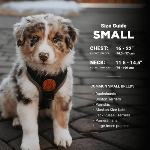 Miniatura 3 de Wilderdog Arnés ligero para perro con correas reflectantes - Pequeño - Negro