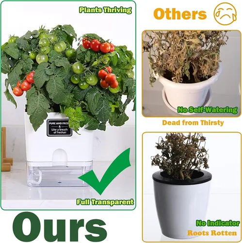 Miniatura 2 de Planterhoma Macetas de riego automático para plantas de interior de 4.3 pulgadas, 6 paquetes de macetas cuadradas de riego automático con orificio