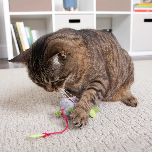 Miniatura 7 de SmartyKat Juguetes de peluche para gatos con forma de ratón hinchable, 3 unidades, multicolor, 3