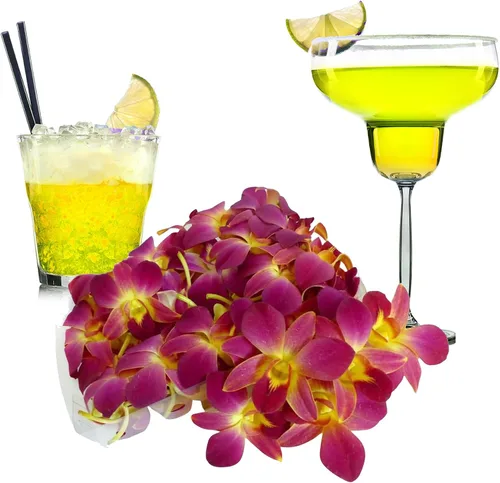 Miniatura 7 de Miami Fresh Orchid Flower OrchidClub USA Sunne Tropical Loose Bloom DIY Lei, decoración de alimentos y bebidas (50 amarillos)