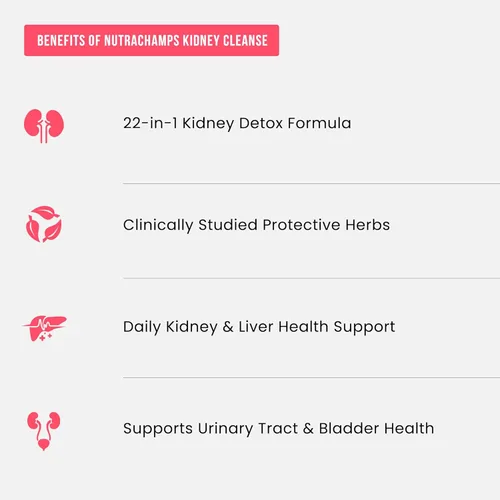 Miniatura 5 de Kidney Cleanse Detox Suplemento de apoyo renal 22 en 1 Extracto de pastillas de arándano Fórmula premium de reparación y descarga extra fuerte