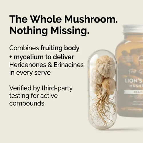 Miniatura 3 de Forest Super Foods Cápsulas de hongos melena de león cultivados en Australia, concentración, memoria y apoyo nervioso, 120 cápsulas veganas