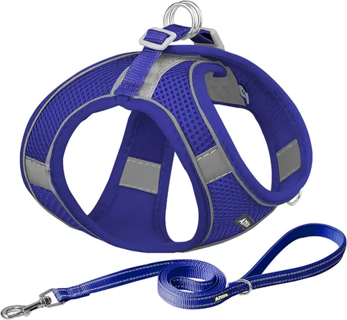 Miniatura 12 de AIITLE - Juego de arnés y correa para perro sin tirones, arnés ajustable para perros con chaleco acolchado para todo clima, correa para perros