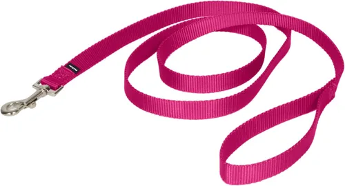 Miniatura 22 de PetSafe Correa de nailon para perro fuerte, duradera, estilo tradicional con broche de perno fácil de usar para perros pequeños, medianos y grandes