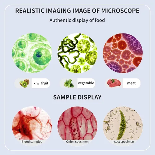 Miniatura 8 de Microscopio trinocular 40x-2000x Ampliación de doble capa con luces LED en la parte superior e inferior, perillas de enfoque dual gruesas