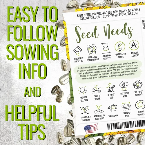 Miniatura 3 de Seed Needs Semillas de girasol para plantar a rayas grises de mamut, bolsa grande resellable de 2 onzas, semillas de reliquia Helianthus annuus sin
