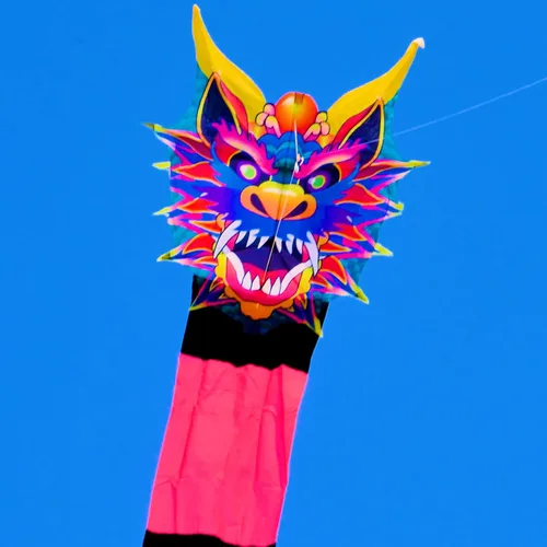 Miniatura 2 de WindNSun SkyGiant, SuperSize XLT y SuperSize Ultra 100" Delta Kites