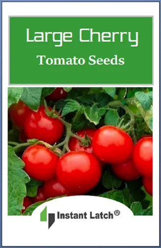 Miniatura 2 de 250 semillas de tomate cherry grandes Sin transgénicos Semillas frescas de jardín