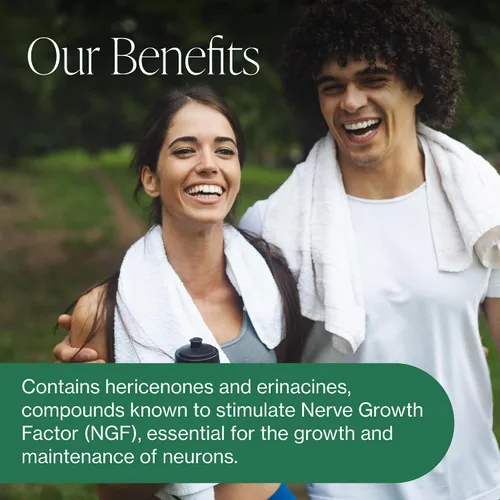 Miniatura 4 de Pure Micronutrients Suplemento orgánico de hongos – melena de león, reishi, chaga, cordyceps y complejo de cola de pavo – Apoyo inmunológico