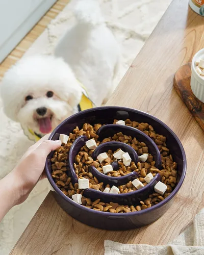 Miniatura 2 de LE TAUCI Cuencos para perros de cerámica de alimentación lenta, cuenco de alimentación lenta de 1.5 tazas para razas pequeñas y medianas, cuenco