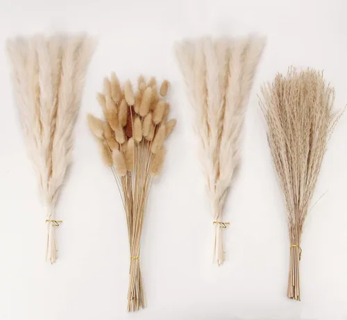 Miniatura 13 de Decoración de hierba de pampa seca natural, 100 piezas de hierba de pampa que contiene colas de conejo blancas flores secas, ramo de hierba de caña