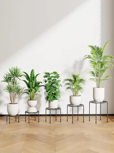 Miniatura 2 de Paquete de 5 soportes metálicos para plantas para interiores y exteriores, soporte de hierro antioxidante, estante resistente para macetas para Negro