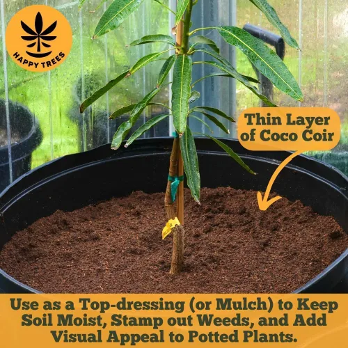 Miniatura 7 de Happy Trees Coco Coir Fibra de Coco Suelta Medio de Cultivo, Mezcla para Macetas, Inicio de Semillas, Calidad Premium, Triple Lavado para Baja