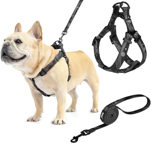 Miniatura 11 de PUPTECK arnés para perro para no jalar, reflejante, ajustable, básico, de nailon, chaleco para cachorro, para caminar al aire libre con etiqueta