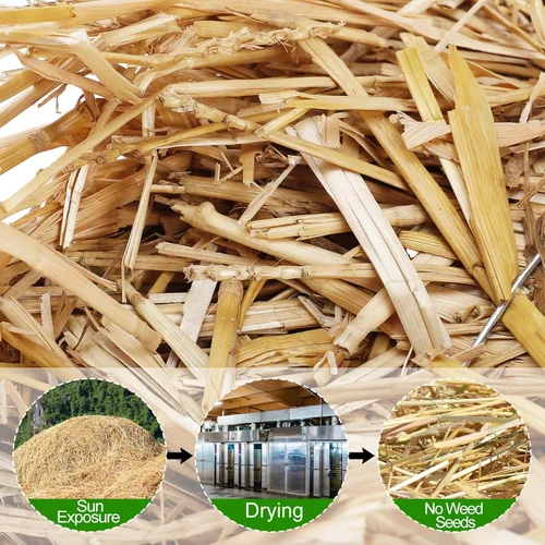 Miniatura 6 de Paja de trigo natural – 1 libra de limpieza en seco suave cubierta de mantillo para jardín, gallinero, patio, granja, mascotas, paca de paja