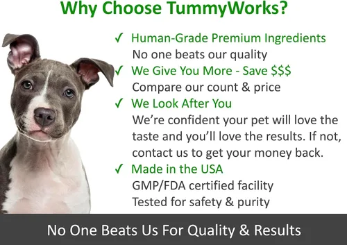 Miniatura 6 de Probióticos para perros y gatos TummyWorks El mejor polvo para aliviar diarrea, infecciones, prurito, comezón, alergías de piel y mal aliento.