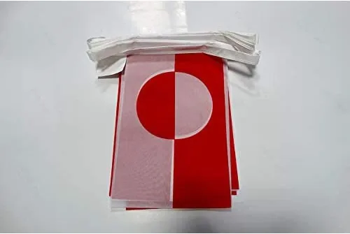Miniatura 133 de AZ FLAG Señal marítima internacional 42.7 ft BUNTING Flag 40 banderas 9'' x 6'' - Banderas de cuerda del alfabeto náutico 5.9 x 8.3 in