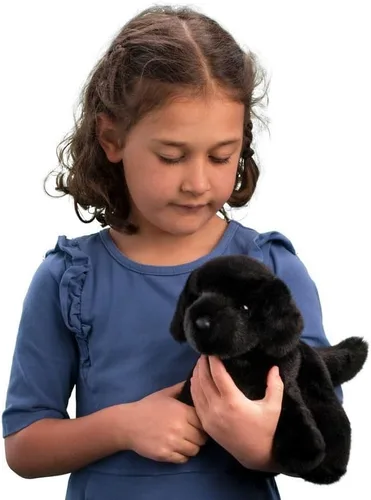 Miniatura 2 de Douglas Animal de peluche de perro de laboratorio negro oso
