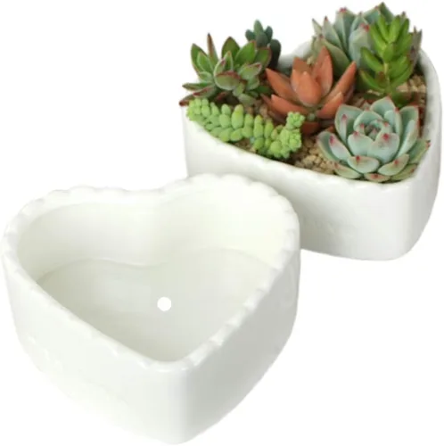 Miniatura 3 de Macetas suculentas de cerámica blanca pura en forma de corazón.